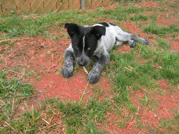 Kenai