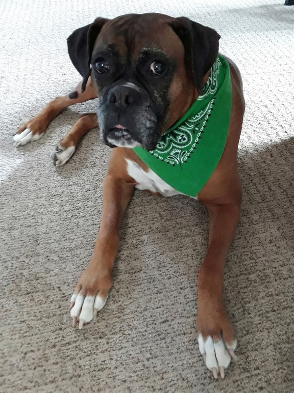 Frida